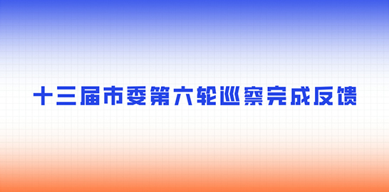 十三届市委第六轮巡察完成反馈