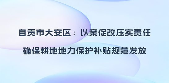 自贡市大安区：以案促改压实责任 确保耕地地力保护补贴规范发放